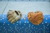 Japanese Baseball Players Escape Indictment Over Online Casino Gambling