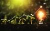 Agricultural Banking Leaders Roundtable: Sustainable Finance & Smart Distribution Strategies in Agribanking