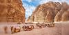 Plan B Travel Jordan & Royal Jordanian Airlines organise destination webinar for Indian travel trade