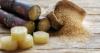 Belize sugar crop falls victim to a devastating fungus