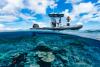 Science Time The Ocean Still Holds Mysteries. That's Why We Must Save It