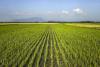 Investments that dare to solve the crisis of food insecurity
