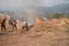 Europe heatwave: Spain set for hottest June on record as 50,000 flee Turkey wildfires
