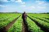 As Nigeria leads Africa’s climate conversation