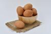 Dominican Republic leads Caribbean in egg exports