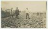 Arkansas Postcard Past: Genoa, circa 1915
