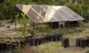 Indigenous community sees stunning results after making high-tech addition to farming practices: 'We pay less for energy'