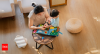 Parenting tips: 10 must-read books on parenting that actually help