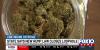 Judge declines to block Alabama’s new hemp law; Mobile shop says it can’t stay open