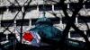 Japan's business mood holds up but US tariff worries grow, survey shows