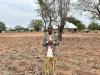 Climate Change Is Making Life Harder For All Farmers – For Ghana’s Farmers With Disabilities It Can Mean Devastation