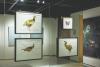 Where Chinese and French brushstrokes meet