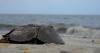 Delaware Bay or Bay of New Jersey? Delaware Reacts to Proposed Name Change