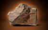 Science The Telegraph World’s biggest piece of ‘Mars rock’ to sell for up to $4m