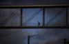 New orders surge in German manufacturing but employment woes persist, PMI shows