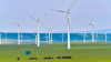 Environmental protection, a highlight of Sino-Danish cooperation