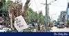 Banning trees to save nature? Rethinking Bangladesh’s exotic tree policy