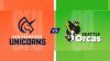 MLC 2025, San Francisco Unicorns Vs Seattle Orcas: When And Where To Watch With Probable Playing 11