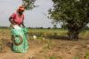 What Nigeria, Cameroon must do to stop ISWAP’s expansion in Lake Chad basin