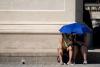 France shuts schools, Italy limits outdoor work as sweltering heatwave grips Europe