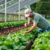 Measuring Farming’s Impact on Sustainable Food Systems