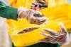 Agrimercarb’s insect protein innovation is helping safeguard aquaculture