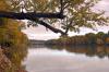 Hoosiers urge IDEM to protect state’s environment 