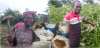 Bong County’s SANKOFA Farm Leads Liberia’s Vegetable Production Push with Backing from Ministry of Agriculture