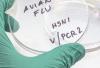 Cambodia, South Korea record new avian flu cases in poultry