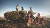 India’s agriculture GVA grows 3X in 12 years: Details of GVO for Crop Sector