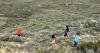 Citizen scientists search for an elusive reptile south of Miles City