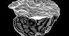 Kalahari Oyster Cult pull all music from Spotify following Daniel Ek military AI investment
