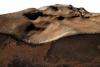 Largest ever chunk of Mars which fell to Earth in meteor strike goes up for auction