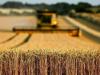 Agri reform