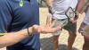 Steve Smith could be fielding at fine leg in Grenada to protect injured finger