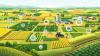 Onside launches digital platform to boost agri supply safety