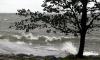 Heavy rain and strong winds to hit Finland from Thursday