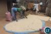 USAID Withdrawal Marks New Era for Zambian Agriculture
