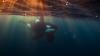 Scientists make worrying discovery after studying killer whale behavior: 'Such shifts highlight potential implications'