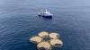 Company’s carbon credits raise questions about unproven ocean technology to fight global warming