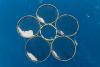 Takeaways from AP report on company that sold 200,000 carbon credits to remove CO2 from ocean