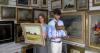Collection of artwork discovered in Somerset bungalow to go to auction