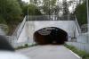 Bulgarian-Greek Study Finds Wildlife Overpass at Ilinden-Exochi Border Crossing Effectively Used by Large Mammals