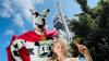 Who Is Exkreman? Prague’s Superhero Fights Dog Poop in Žižkov