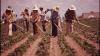 As more natural disasters strike and labor shortages develop, the loss of immigrant workers will be felt deeply