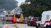 5 dogs, 2 cats rescued after fire ignites at Algiers home