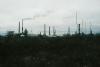 Chicago activists push city to vote on stalled environmental justice bill