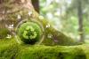 Small Business And The Circular Economy: SMBs Are Key To a Sustainable Future