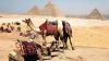 Travel: Discovering Egypt by river, from pharoahs to pyramids