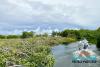 Government Forms Task Force to Strengthen Environmental Enforcement